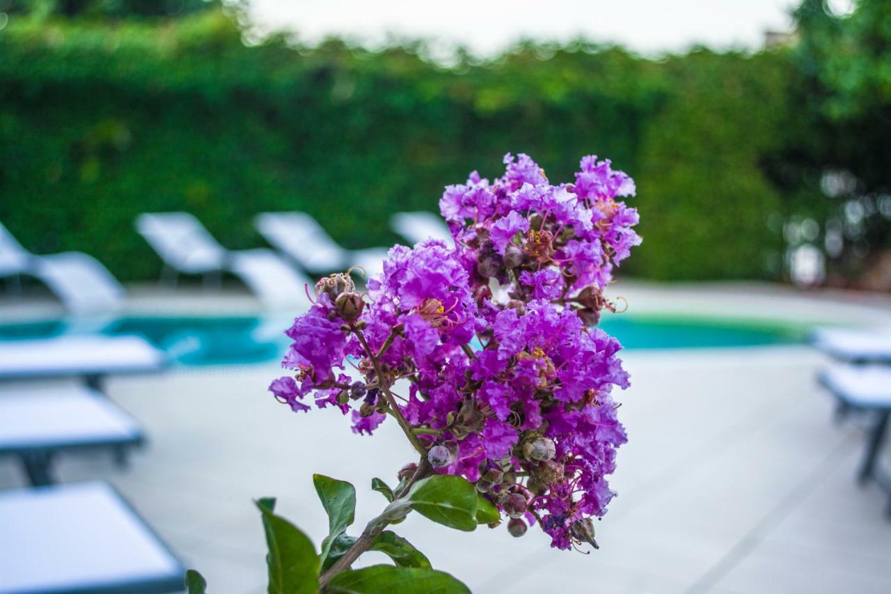 Villa Marylu' Ischia Bagian luar foto